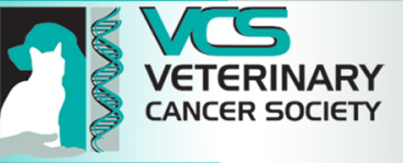 Logo VCS