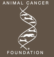 Logo Animal Cancer Foundation