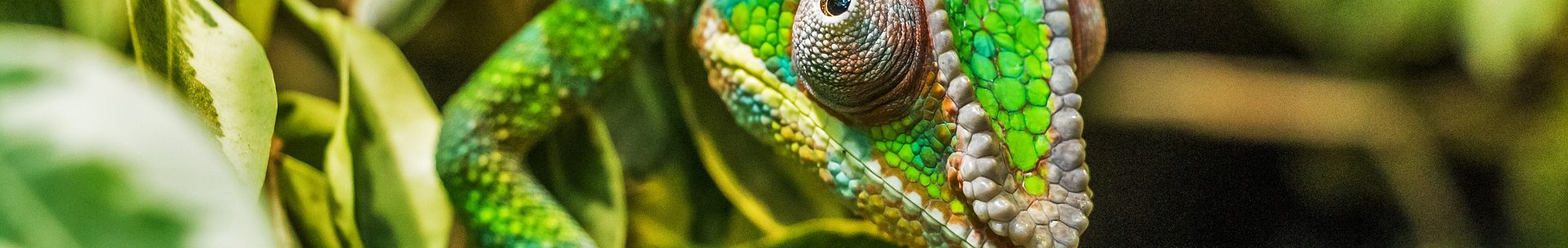Podmínky užití a zásady ochrany osobních údajů