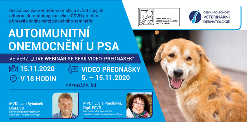 Autoimunitní onemocnění u psa