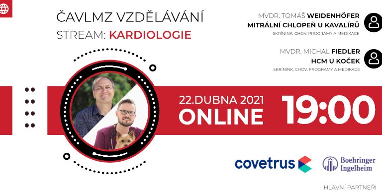 CAVLMZ Fiedler Weidenhofer Web banner