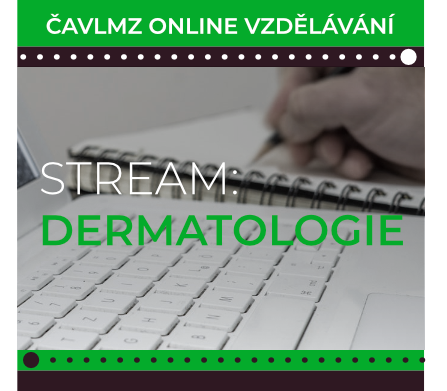 Stream Dermatologie mini