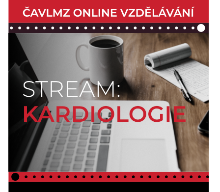 Stream Kardio mini
