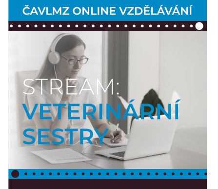 Stream Veterinární sestry mini