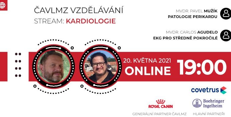 CAVLMZ Mužík Agudelo website banner