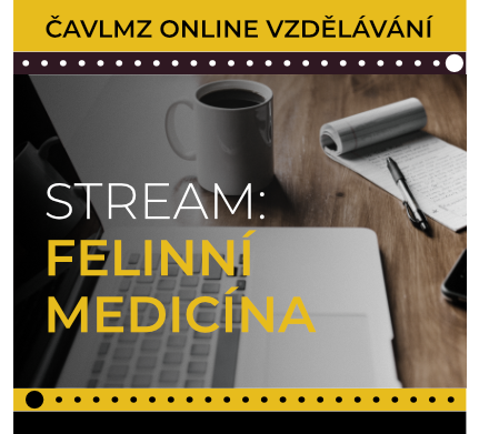 Stream Felinní medicína mini