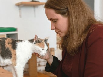 Bc. Kateřina Štiblická MSc.,