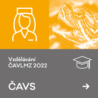 VETERINÁRNÍ SESTRY (ČAVS) – víkendový workshop 21. – 22.10.2022