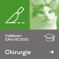 CHIRURGIE – listopadové workshopy 2022