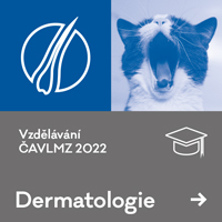 DERMA-ONKOLOGIE – záznam k dispozici od 4. 11. – 4. 12. 2022