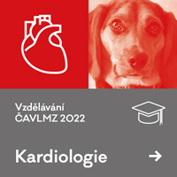 KARDIOLOGIE – pořád ze záznamu