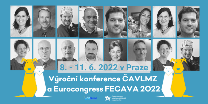 kolotoč návrhu FB CAVLMZ 2021 (2)
