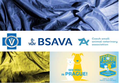 BANNER FECAVA Ukraine