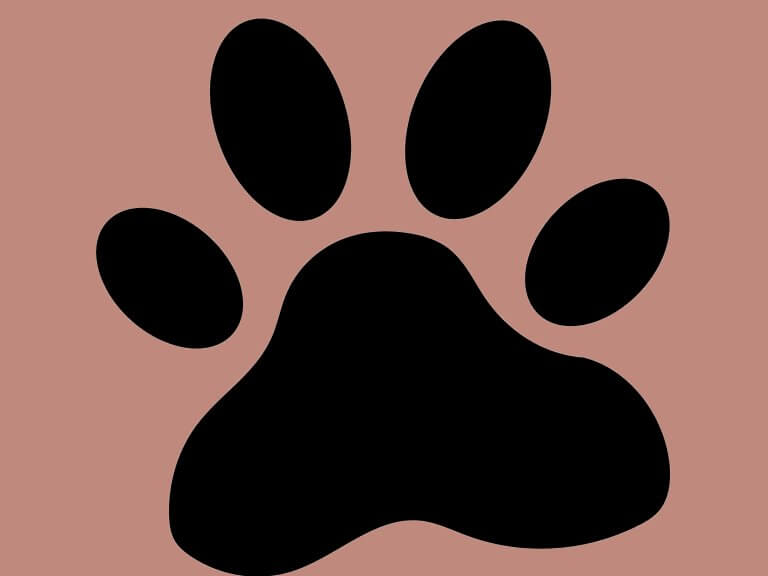 animal paw print icon