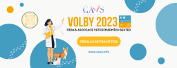 20231113 110752 banner
