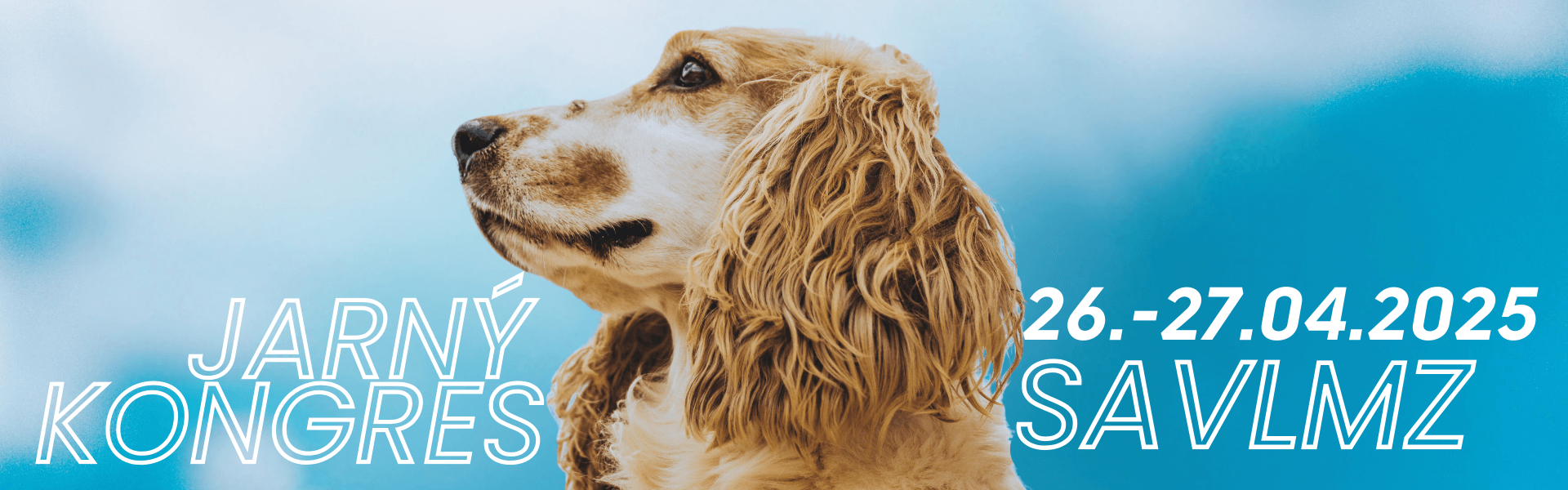 savlmz banner 1