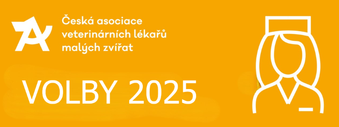 ČAVS VOLBY 2025