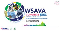 wsava 2025 banner 1200x628px