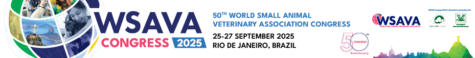 wsava 2025 banner 728x90px