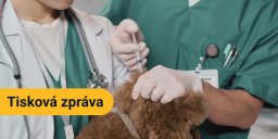 whatsapp image 2026 04 17 at 20 22 04