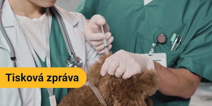 whatsapp image 2026 04 17 at 20 22 04