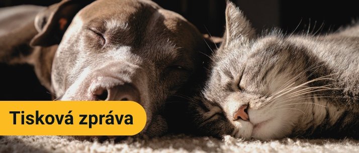 TISKOVÁ ZPRÁVA ČAVLMZ