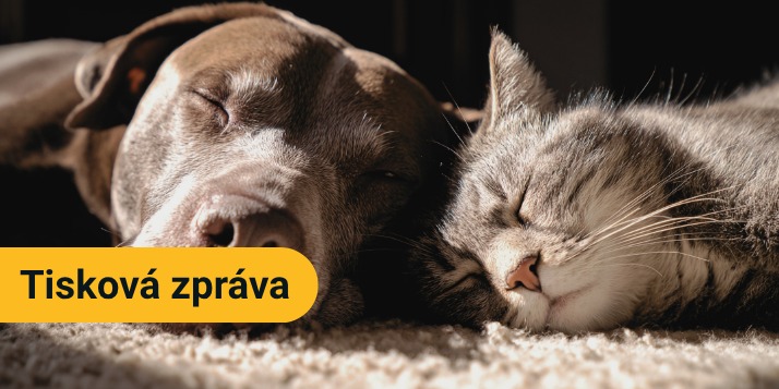 tiskova zprava 4