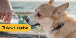 tisk zprava 18 6