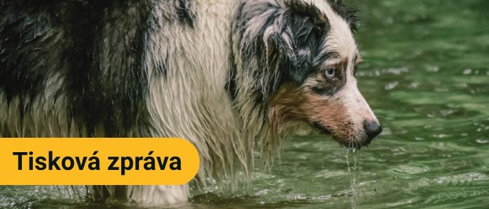 TISKOVÁ ZPRÁVA ČAVLMZ