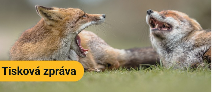 TISKOVÁ ZPRÁVA ČAVLMZ